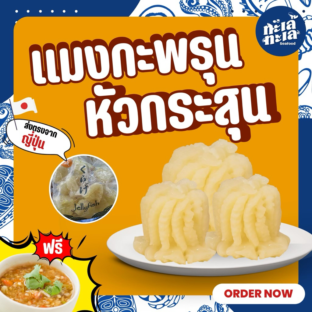 ส่งด่วน แมงกะพรุนหัวกระสุน (Edible Jellyfish) ล้างพร้อมทาน เด้งกรอบ สดสะอาด
