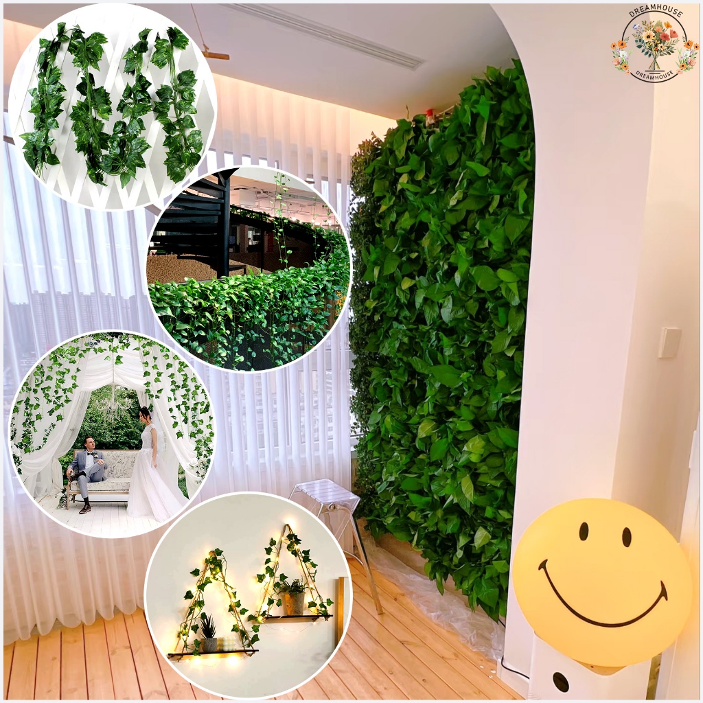 รูปภาพ 8