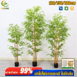 【ไม่ต้องดูแล-ร้อยปีไม่เสีย】ต้นไม้ประดิษฐ์ ต้นไม้ปลอม ต้นไผ่ ต้นไม้ปลอมใหญ่ 120/160/180cm ความจำลอง 99% ต้นไม้แต่งห้อง
