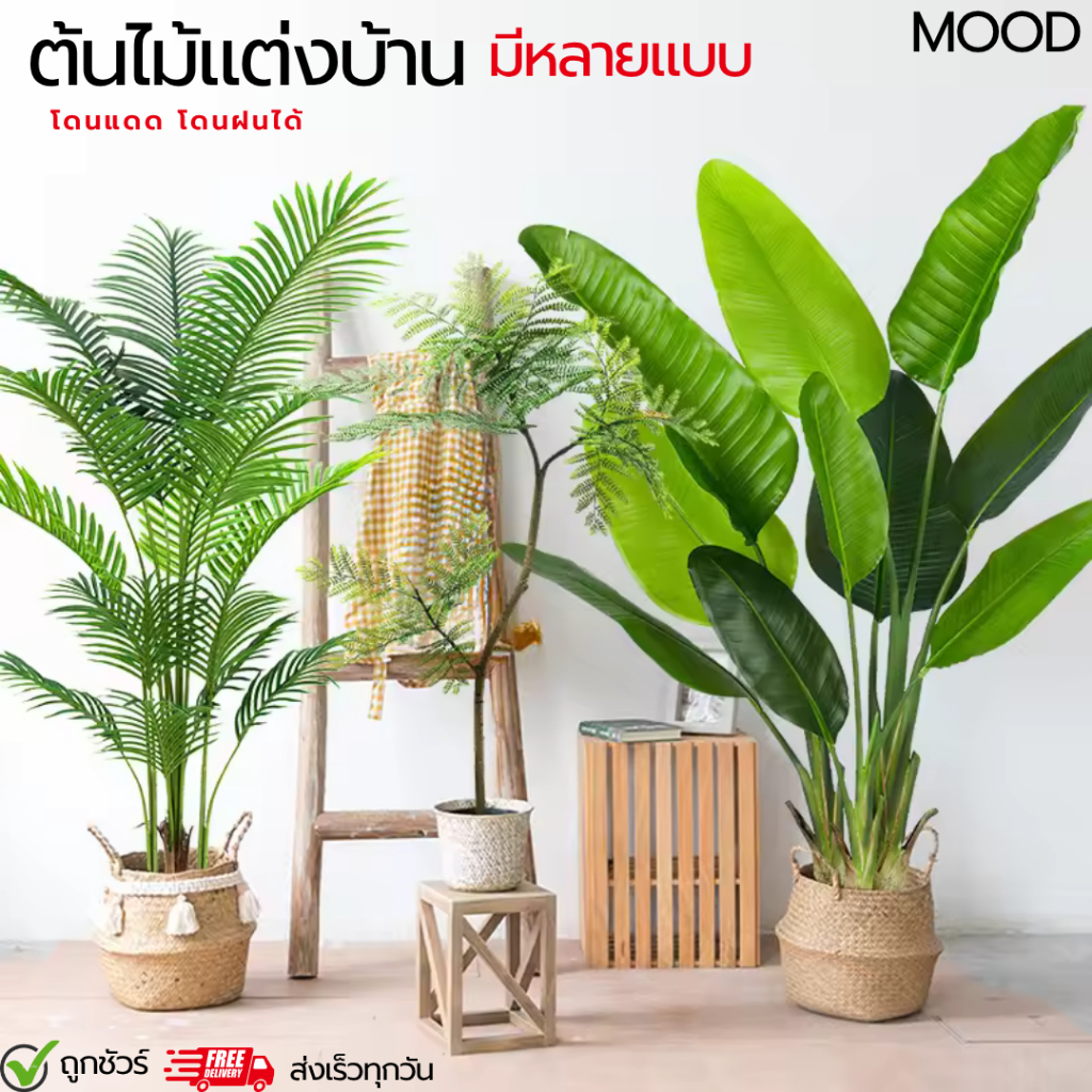 ต้นไม้แต่งบ้าน (พร้อมกระถางทั้งชุด )  ต้นไม้ปลอมเหมือนจริง ต้นไม้แต่งบ้าน บ้านและสวน (ส่งเร็วทุกวัน)Plant-L