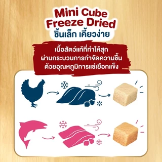 [ยกลัง x6 แถมพรมลับเล็บแมว] Ginno กินโนะดราย กินโนะอาหารแมว ชนิดเม็ด มีผงปลาคัตทสึโอะบูชิ