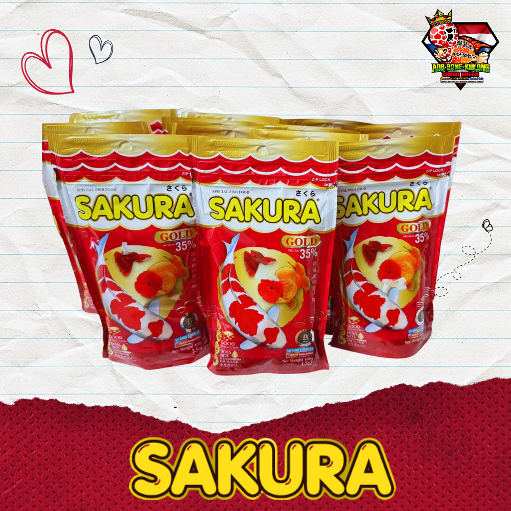Sakura Gold อาหารปลาซากุระโกลด์