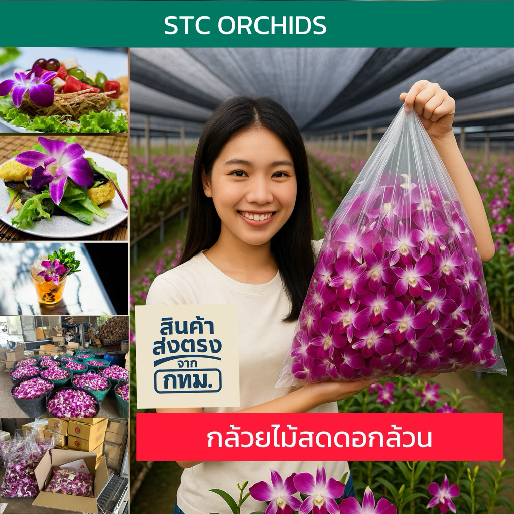 [ดอกล้วน]กล้วยไม้สดดอกล้วน ตกแต่งจานอาหารร้อยมาลัย คาเฟ่ร้านอาหาร 0.5-1000 กรัม ตัดรอบ08.00น.ค่ะ