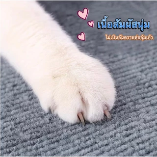 พรมลับเล็บแมว ที่ฝนเล็บ แบบติดผนังพร้อมกาว กันรอยข่วนได้ดี ตัดDIY มีทั้งหมด 7 สี /3 ขนาด สินค้าขายดี