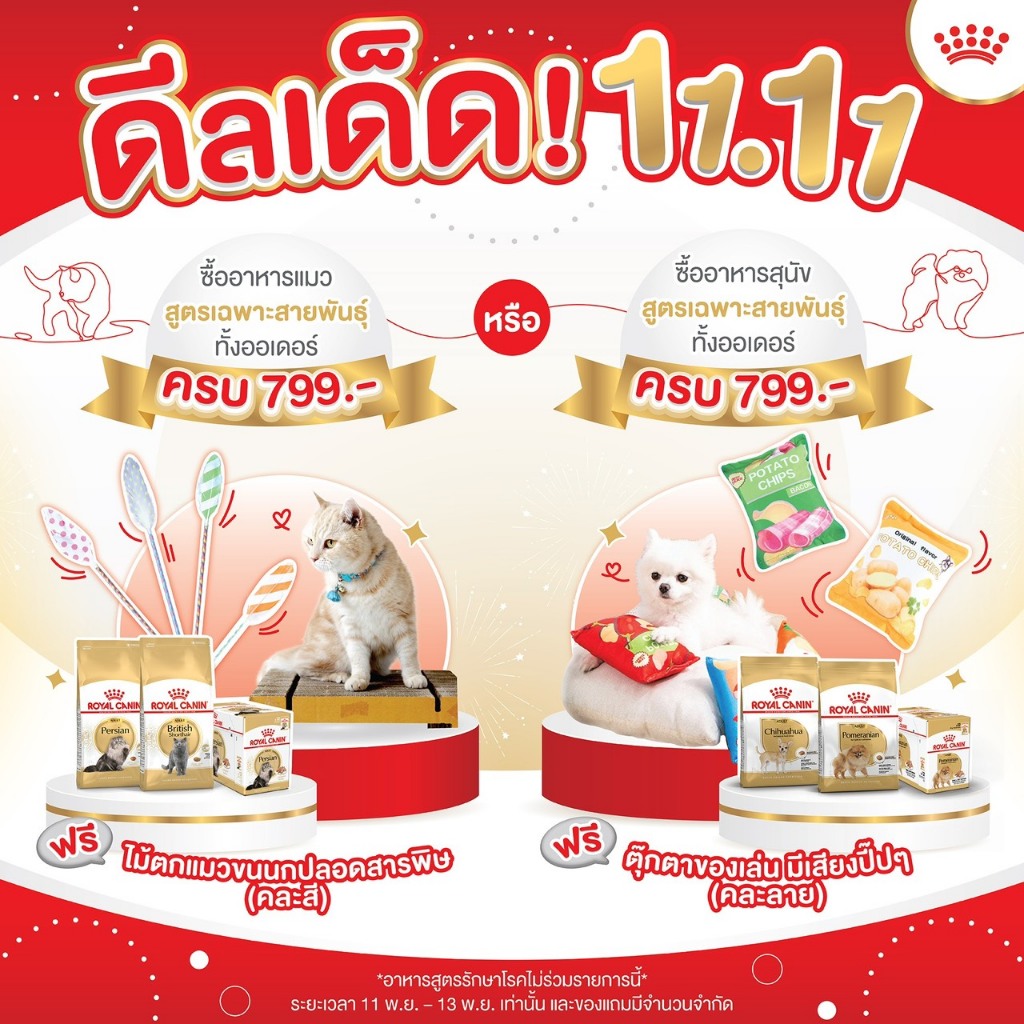 รับฟรี   ดีลเด็ด ไม้ตกแมวขนนก 1 อัน