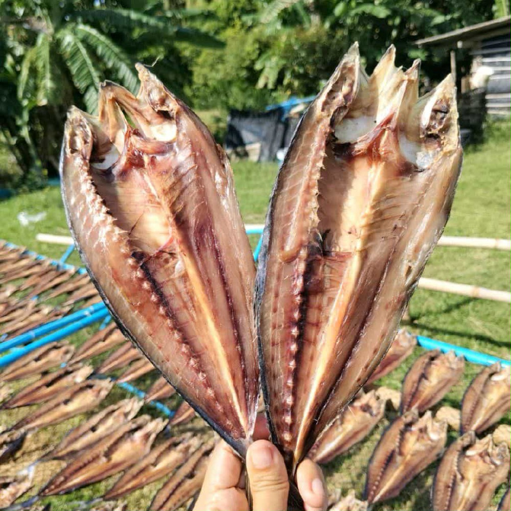 ปลาสีเสียดแดดเดียว สะอาด ทำสดใหม่ ไม่เค็ม