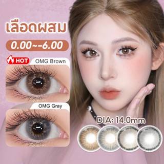 Magister Realcon คอนแทคเลนส์ 6 เดือน Mini Brown/ Gray  คอนแท…