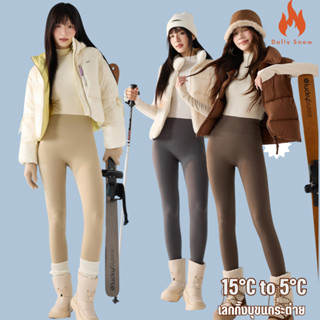 เลกกิ้งบุขนกระต่าย 330 G พร้อมส่ง 6 สี Leggings