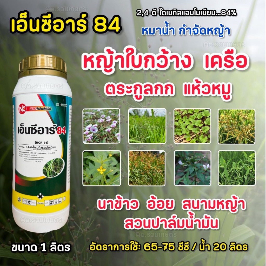 2,4-ดี-ไดเมทิลแอมโมเนียม ทูโฟดี 24ดี เอ็นซีอาร์ 84 ขนาด 1 ลิตร สารกำจัดวัชพืชใบกว้าง และ กก 2-4ดี 2-