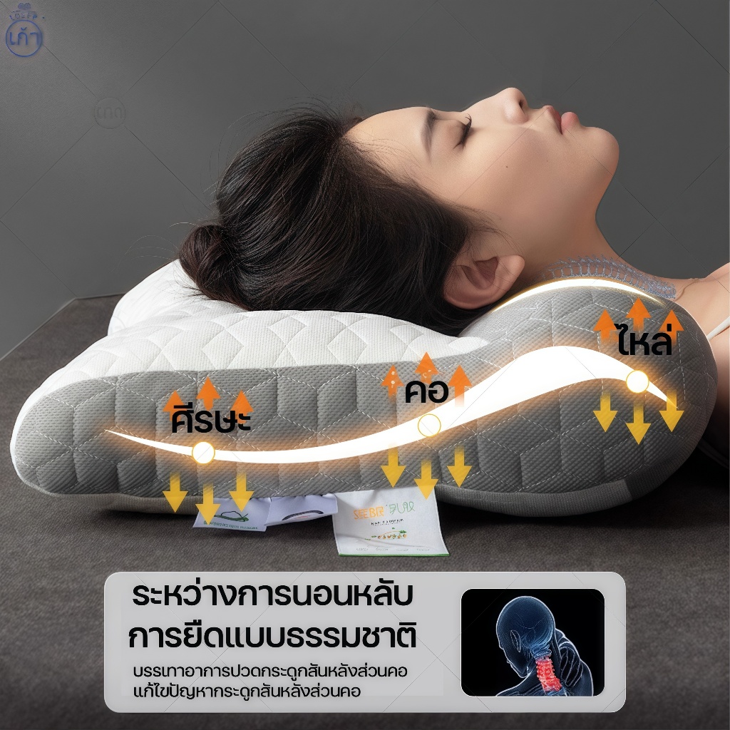 หมอน หมอนสุขภาพ หมอนนอน ป้องกันไรฝุ่น ลดกรน รองรับตามสรีระคอ บรรเทาอาการปวดคอที่เกิดจากการนอน นอนไม่พอดี รูปที่ 8