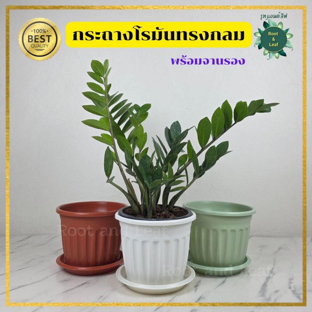 กระถางโรมัน ทรงกลม กระถางพลาสติกตกแต่งบ้าน จัดสวน แต่งคอนโด แต่งห้อง พลาสติกอย่างดี สีสันสวยงาม สินค้าพร้อมส่ง