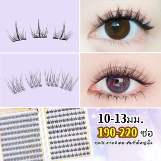 ขนตาปลอมพร้อมกาวในตัว หลายสไตล์ หลายขนาด ขนตาปลอมแบบช่อ ใช้ง่าย พกพาสะดวกขนตาปลอมแบบมีกาวในตัว