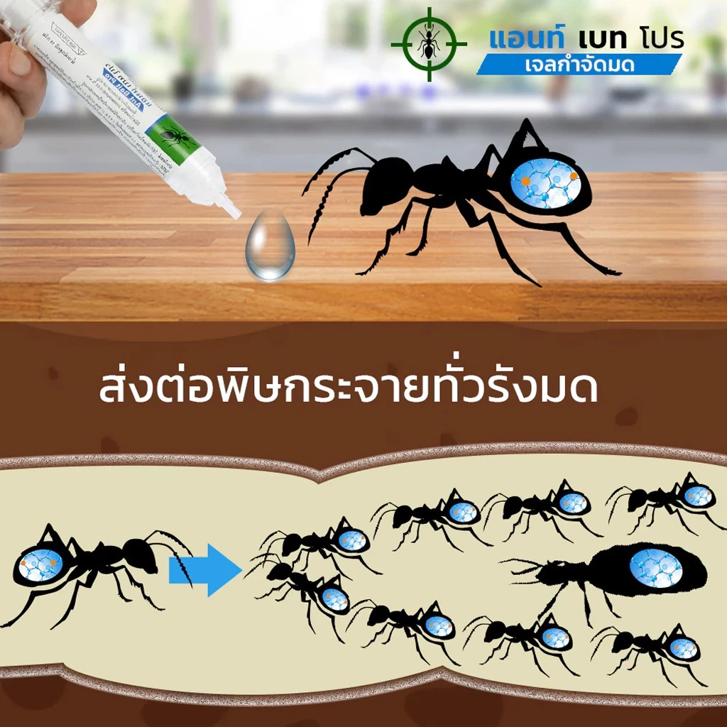 เจลกำจัดมด กำจัดมด ยกรัง ของแท้ 100%  สินค้าส่งไว thumbnail 5