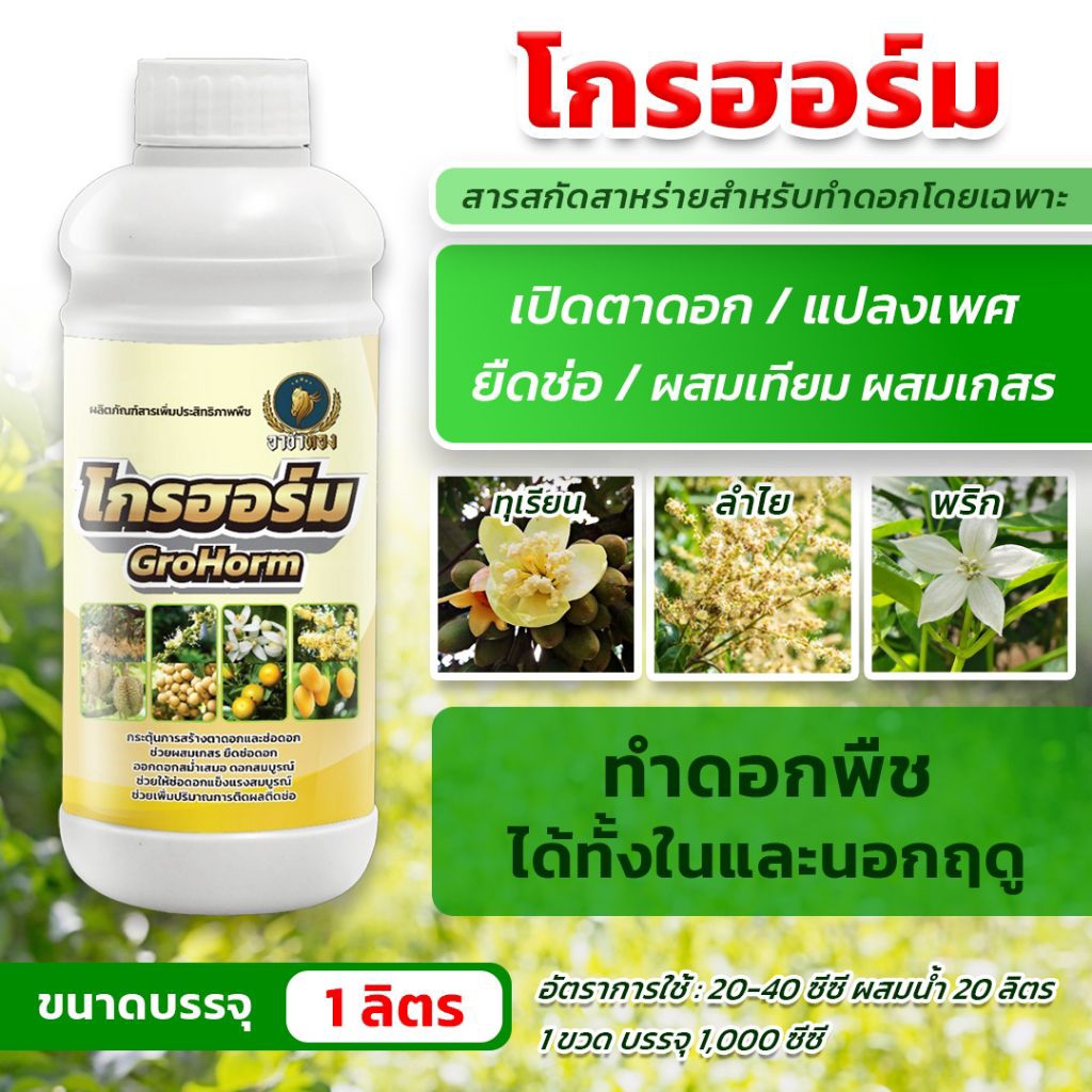 โกรฮอร์ม 1 ลิตร ฮอร์โมนเปิดตาดอก ยืดช่อ ผสมเกสร ออกดอกดี ติดผลดก