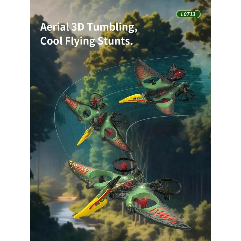 Aircraft Model Plane RC 2.4Ghz EPP L0713 Wing Dragon - L0713