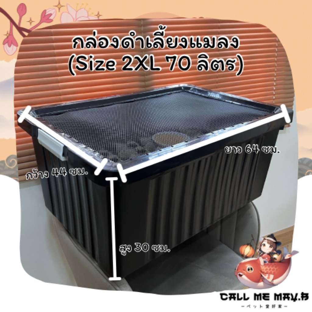 กล่องพลาสติกเลี้ยงสัตว์ เพาะพันธุ์แมลง Size 2XL ติดมุ้งไฟเบอร์เพิ่มได้ | สีดำ, สีครีม ขนาด 70 ลิตร