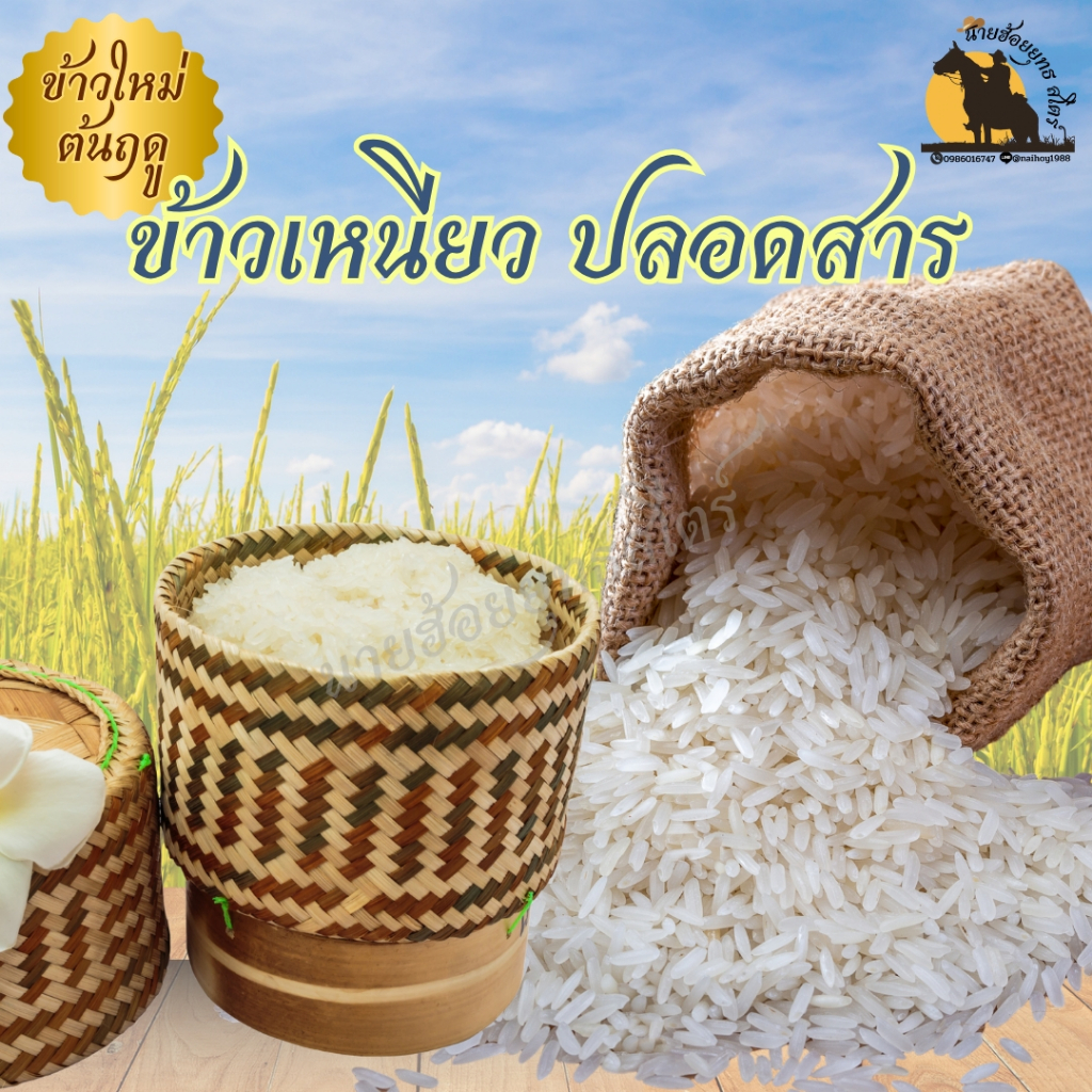 ข้าวหอมมะลิแท้ 100% 100 กรัม หุงขึ้นหม้อ ข้าวเหนียว นึ่ง อร่อย ไม่ติดมือ ตรา นายฮ้อยยุทธ