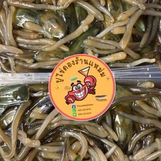 หอยราก(หอยปากเป็ด) น้ำปลาดองสูตรเฉพาะของทางร้านดองเอง นน.200กรัม
