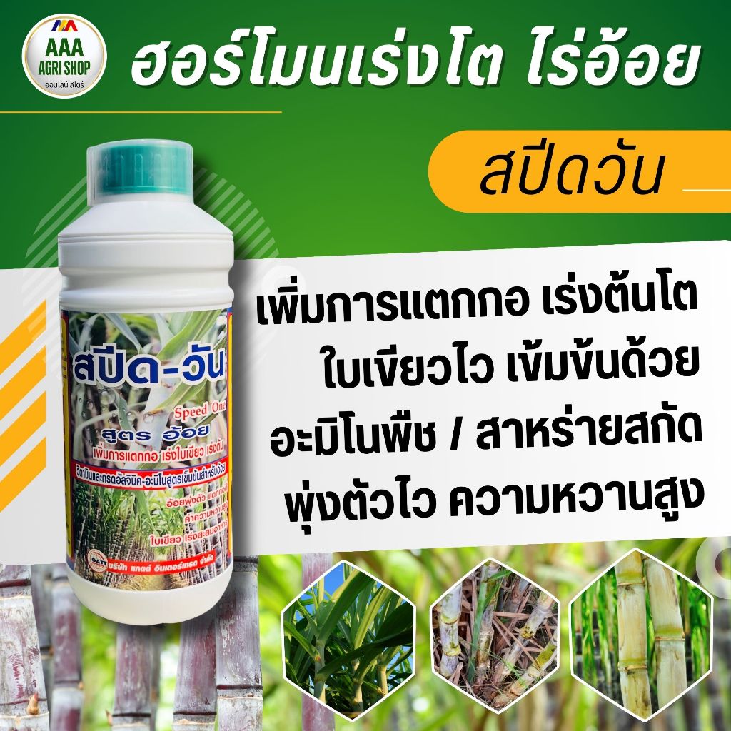 สปีดวัน สูตรอ้อย เร่งแตกกอ เร่งใบเขียว เพิ่มความหวานอ้อย บำรุงอ้อยโตไว ลำอ้อยใหญ่ น้ำหนักดี ปุ๋ยน้ำอ้อย ฮอร์โมนอ้อย