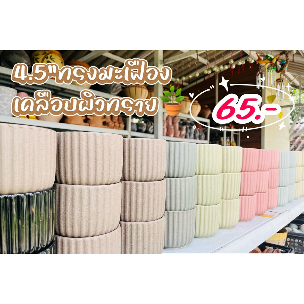 กระถางเซรามิค กระถางต้นไม้ กระถางแคคตัส ทรงมะเฟืองเคลือบผิวทราย ไม่มีจานรอง ขนาดกว้าง4.5นิ้ว