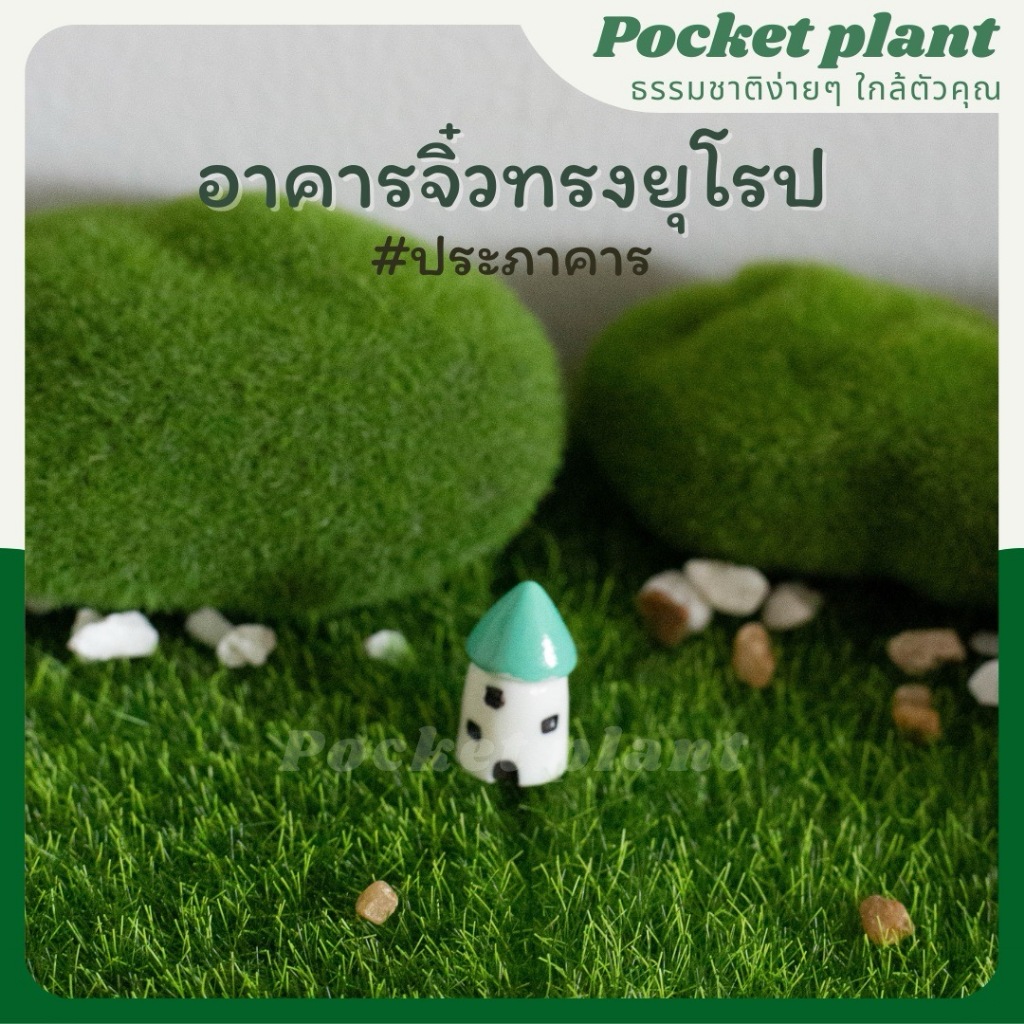 มุมมอง 3