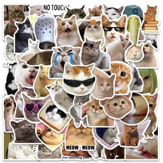 💥จัดส่งจากประเทศไทย💥stickerอีโมจิแมว สติกเกอร์ กันน้ํา ลาย สติกเกอร์สําหรับกระเป๋าเดินทางเคสโทรศัพท์แล็ปท็อปโน้ตบุ๊