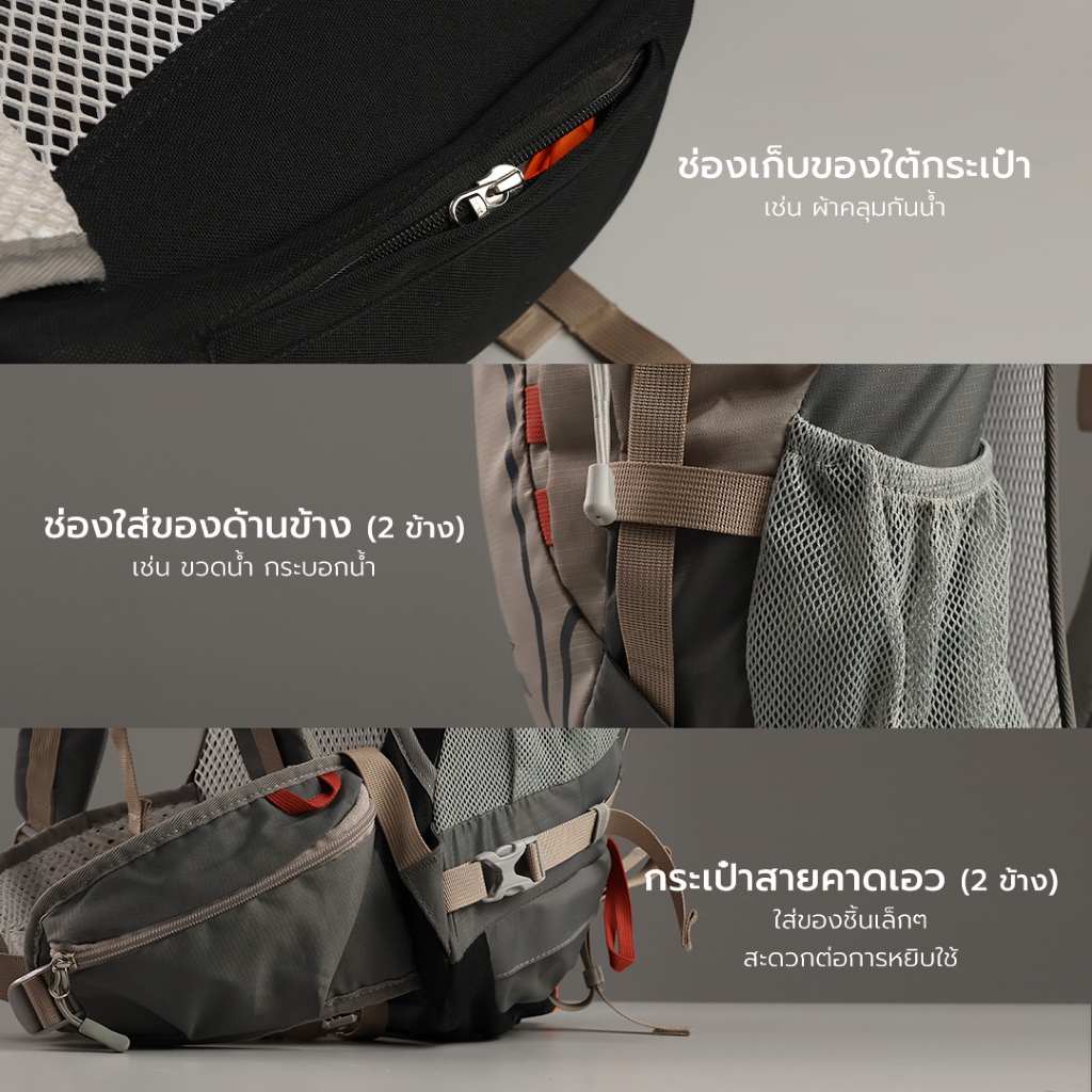 รูปภาพ 5