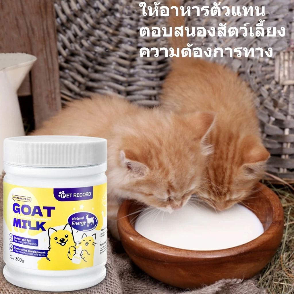 Pet Record นมผงแกะ เสริมสร้างสมรรถภาพทางกาย อุดมไปด้วยสารอาหาร ช่วยเติบโต เหมาะสำหรับสุนัขและแมว 300g thumbnail 10