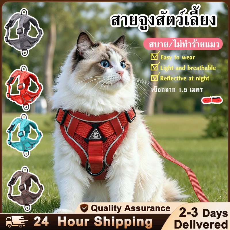 สายจูงแมว 1.5m เสื้อจูงแมว ผ้าตาข่าย พร้อมสายจูง บสัตว์เลี้ยง เหมาะสำหรับทั้งแมวและสุนัข