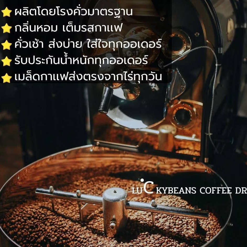 กาเเฟคั่ว โรบัสต้า 5กิโลกรัม รับประกันน้ำหนักทุกถุง คั่วใหม่ทุกวัน - รูปที่ 3
