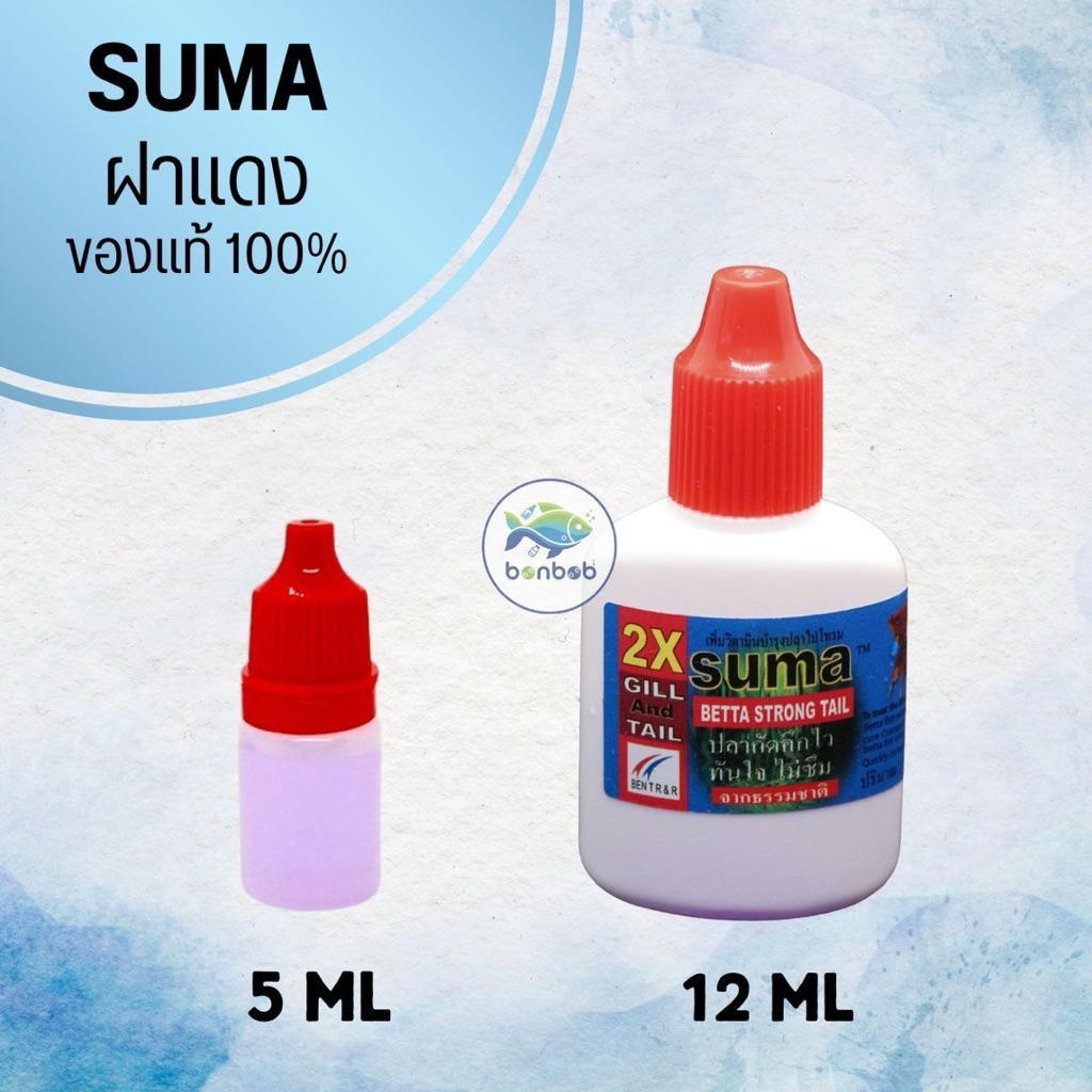 Suma Betta Strong Tail ซูม่าฝาแดง สำหรับปลากัด ปลาสวยงาม