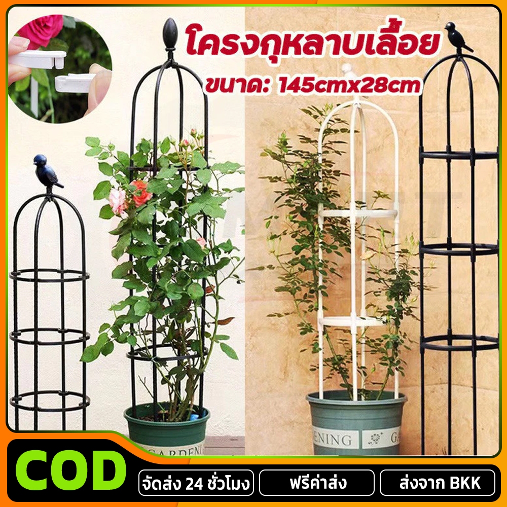 จัดส่ง 24 ชั่วโมง 145cm*28cm โครงกุหลาบเลื้อย ซุ้มไม้เลื้อย เหล็กแข็งแรง ท่อเหล็กเคลือบ PE กันสนิม กระถางต้น
