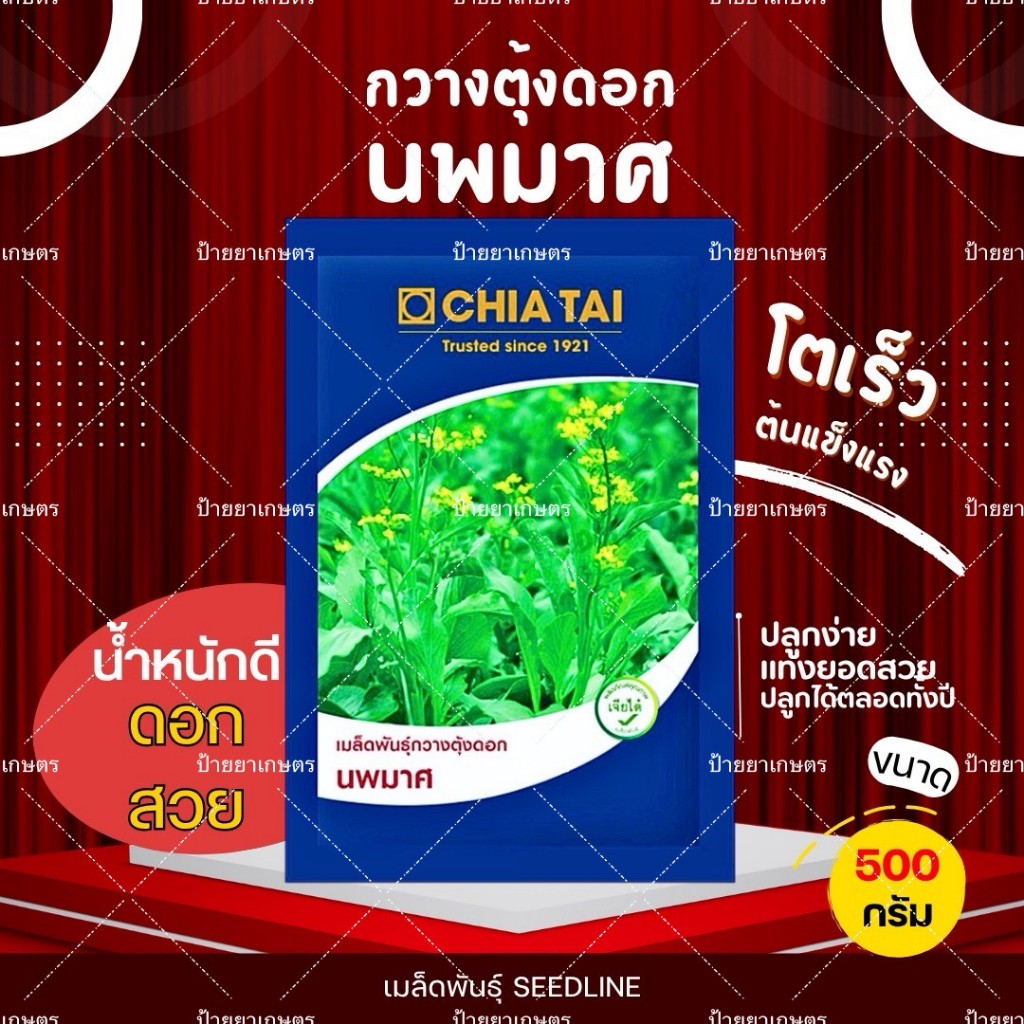 เมล็ดพันธุ์กวางตุ้งดอก นพมาศ กวางตุ้ง ขนาด 500 กรัม