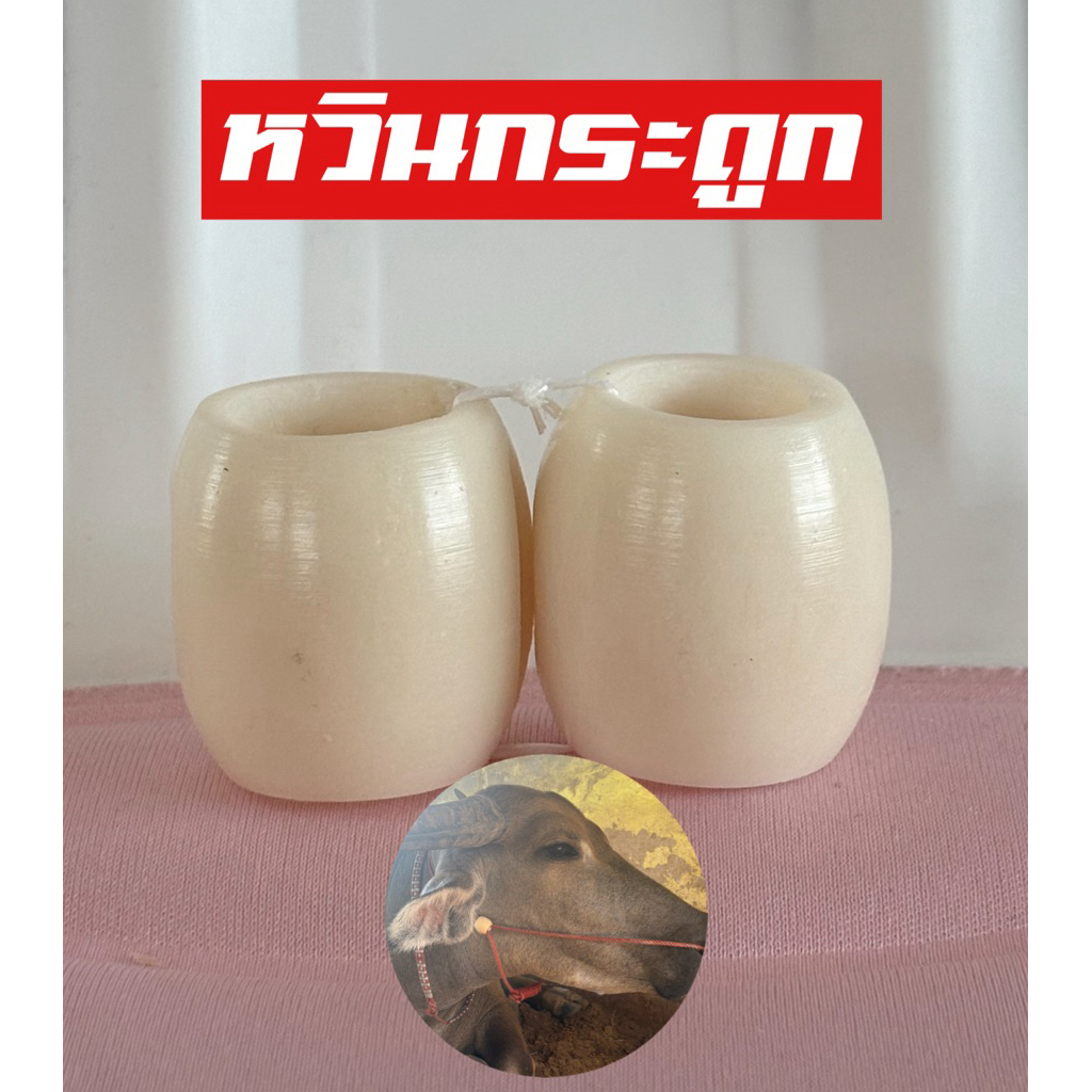 หวินสนตะพาย.วัว ควาย(กระดูก)