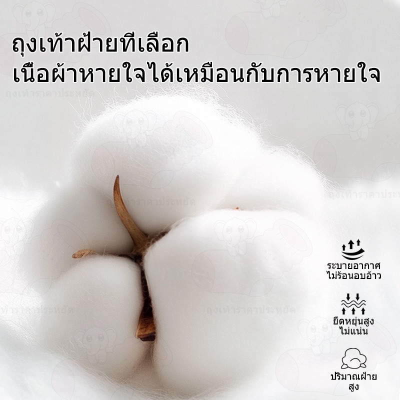 ถุงเท้าทำงาน 6คู่/12คู่ ถุงเท้าผู้ชาย ข้อกลางคลุมตาตุ่ม สีสุ่ม ฟรีไซส์ สินค้ายกโหล ผ้านิ่ม ใส่สบาย - รูปที่ 5