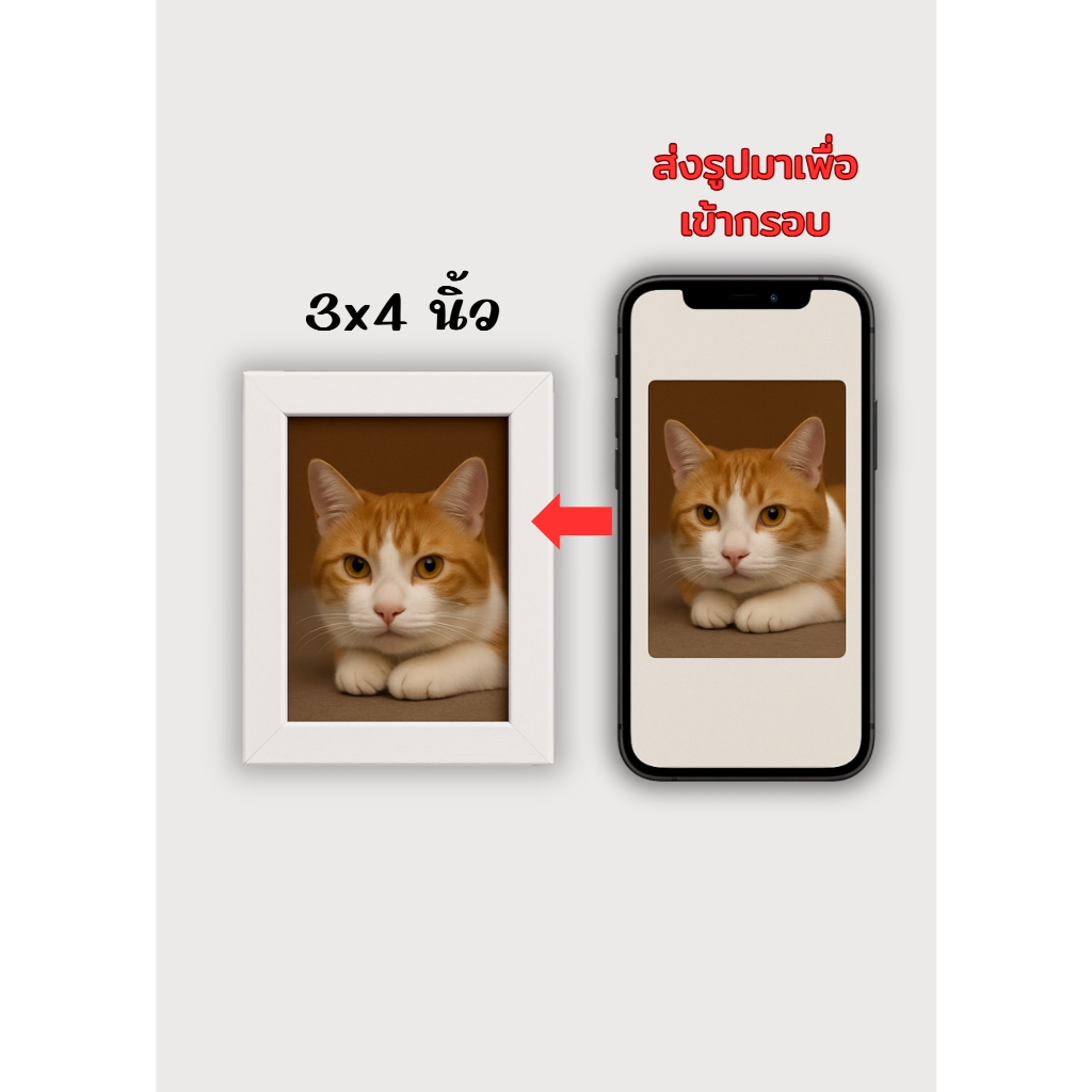 กรอบรูปพร้อมอัดรูป ส่งพรุ่งนี้ | ขนาด 3x4 / 4x6 / 6x8 / A4 (แขวนผนัง / ตั้งโต๊ะ) ไม่รับใสข้อความเพิ่ม