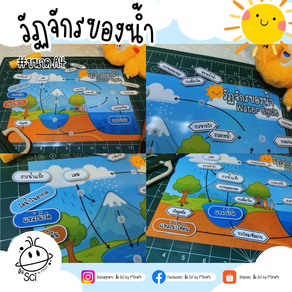 สื่อการสอนวิทยาศาสตร์/โลกศาสตร์ เรื่อง วัฏจักรของน้ำ