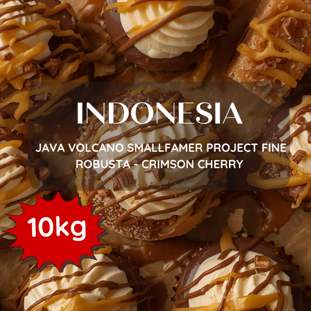 สารเมล็ดกาแฟ  Java Volcano Smallfamer Project Fine Robusta - Crimson Cherry 10 kg