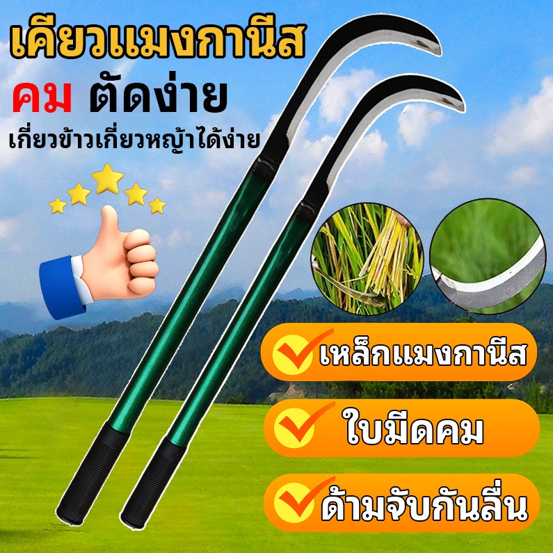 เคียวแมงกานีส 60/80cm เคียวเหล็กแมงกานีส เคียวเกี่ยวหญ้า นทานไม่เป็นสนิม คียวตัดกิ่งไม้ ทำจากเหล็กแมงกานีสแท้100%