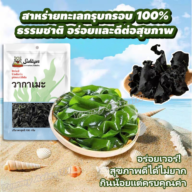 สาหร่ายวากาเมะอบแห้งเกรดพรีเมียม ใหม่ล่าสุดจากต้นฤดู ธรรมชาติ100% สำหรับสลัดและยำสาหร่าย 500g