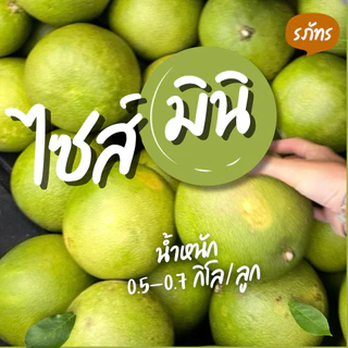 [set mini] ส้มโอ พันธุ์ขาวใหญ่ ส่งตรงจากสวนอัมพวา ไซส์ mini - น้ำหนัก 0.5-0.7 kg