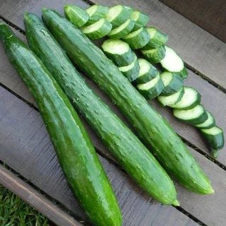 เมล็ดพันธุ์ แตงกวาญี่ปุ่น เทสตี้กรีน Tasty Green F1 Cucumber Seed 10 เมล็ด คุณภาพดี ของแท้ 100%