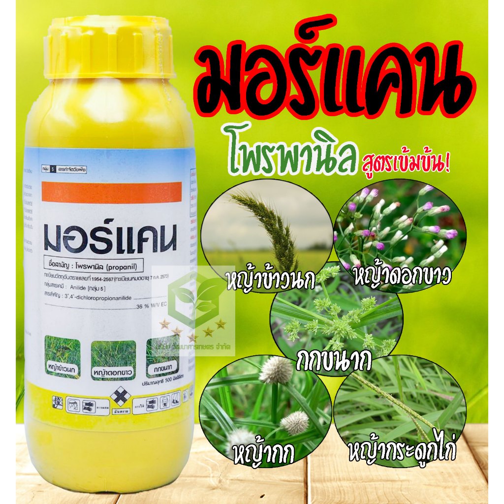 มอร์แคน 500ซีซี ( โพรพานิล สูตรพิเศษ) กำจัดหญ้าดื้อยาทุกชนิด หญ้าเดือยดื้อยา หญ้าข้าวนก หญ้าดอกขาว