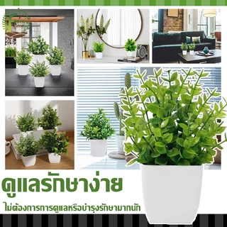 บอนไซเทียม ไม้ประดับ ดีไซน์โมเดิร์น ขนาดเล็ก สําหรับตกแต่งบ้าน สวน โต๊ะรับประทานอาหาร ห้องนอน