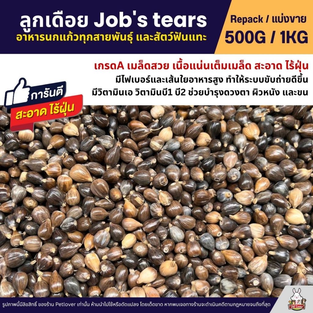 ลูกเดือย Job's tears เกรดA นำเข้า อาหารนกแก้ว หนูแฮมสเตอร์ และสัตว์ฟันแทะ (แบ่งขาย 500G /1KG)