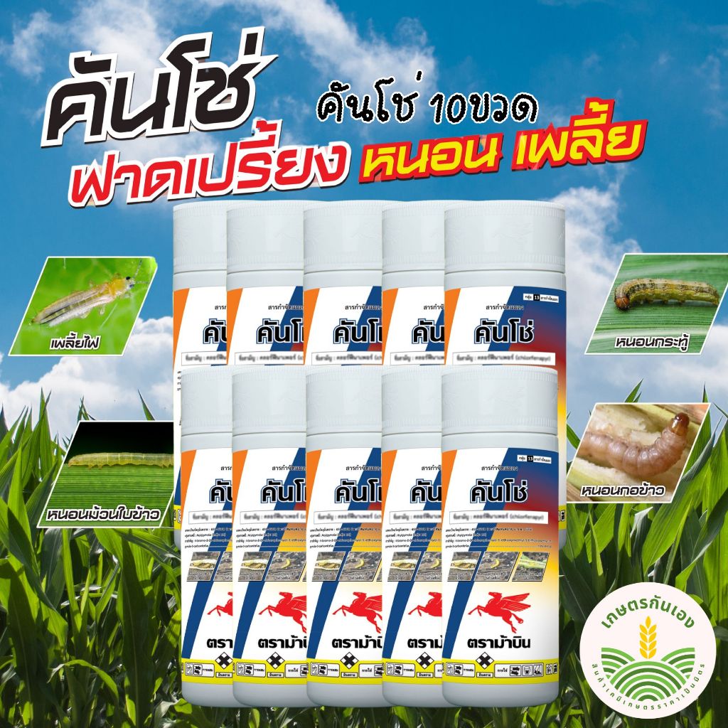 คันโช่ คลอร์ฟีนาเพอร์ ยาหนอนข้าวโพด หนอนม้วนใบ ตราม้าบิน ขนาด 1ลิตร 10ขวด