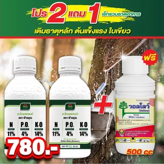 เร่งน้ำยาง แตกแรง พุ่งไว ไม่หยุดหยด สูตร 11-4-14 เพิ่มปริมาณ คุณภาพน้ำยางเต็มๆ