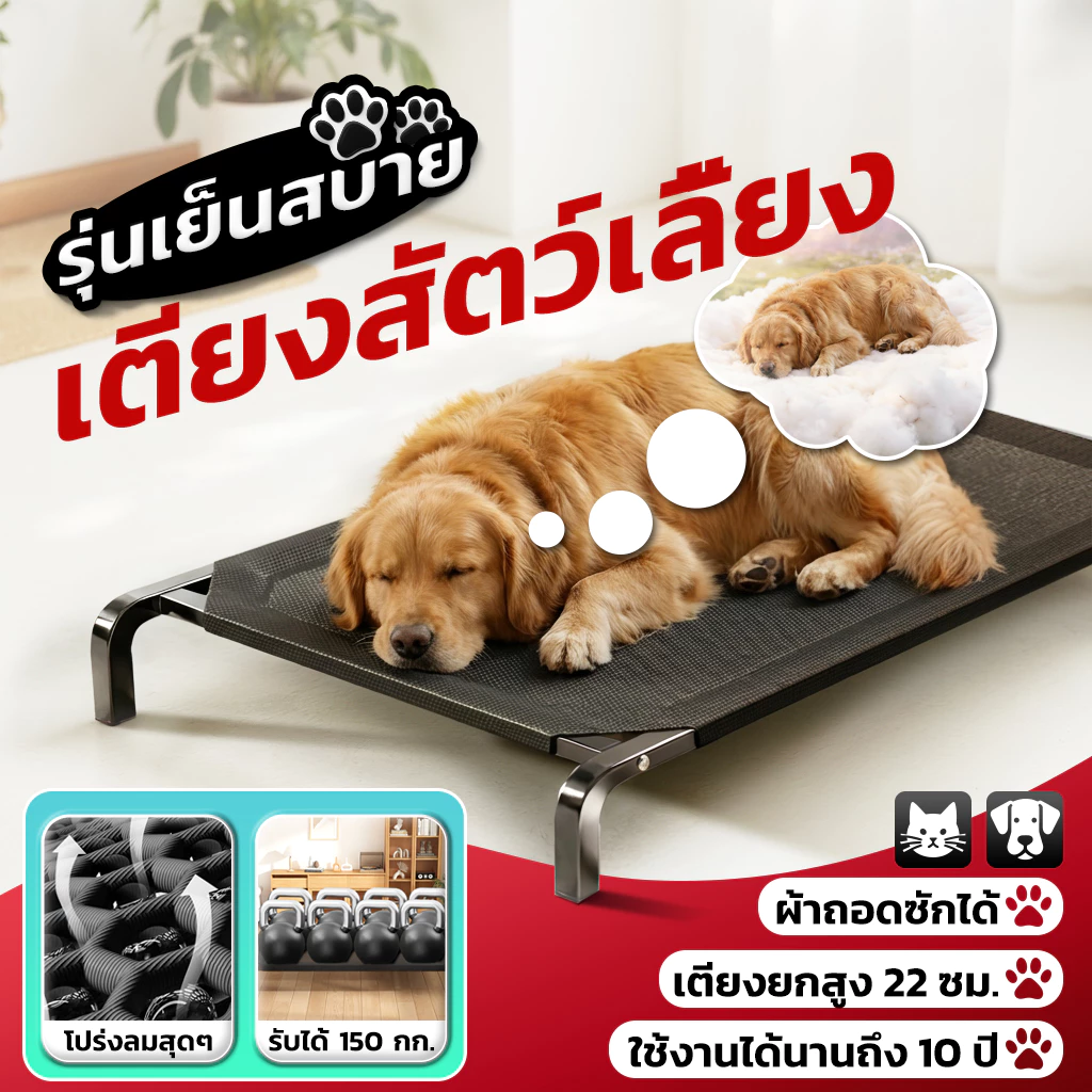 🐶ส่งฟรี🐱เตียงน้องหมา ที่นอนสัตว์เลี้ยง ผ้าตาข่ายระบายอากาศดี ยกสูงกันความชื้น แห้งไว ไม่อับ ป้องกันกลิ่น pet bed