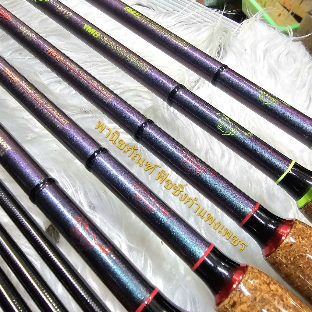 คันโกล์ดสปาตัน  จากค่ายอาชิโน ASHINO  GOLD SPARTAN คันตกปลาเกล็ด ตกปลาหน้าดิน GS.