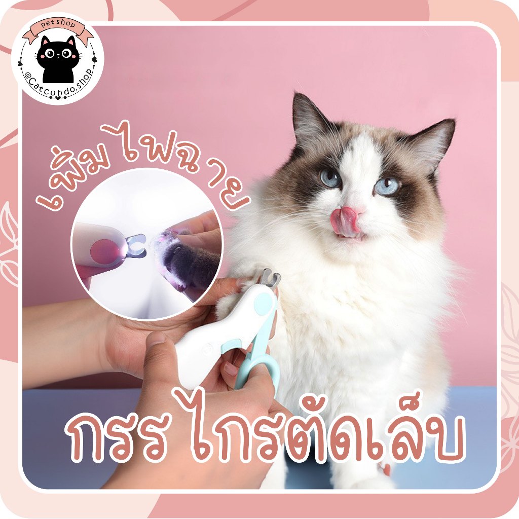 🌵 ที่ตัดเล็บแมว กรรไกรสัตว์เลี้ยง ตัดเล็บแมว ตัดเล็บสุนัข มีไฟส่องสว่าง🐈‍ 🌵